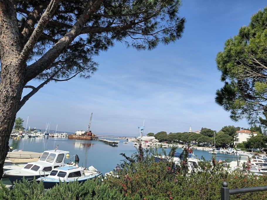 Ferienwohnung Nena In Crikvenica Exterior foto