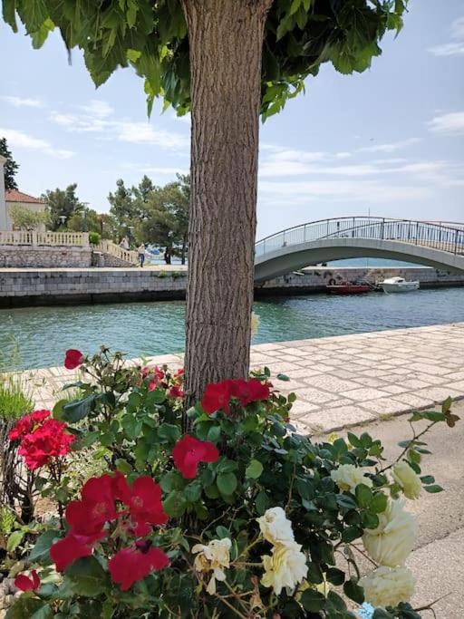 Ferienwohnung Nena In Crikvenica Exterior foto
